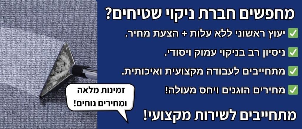 ניקוי שטיחים